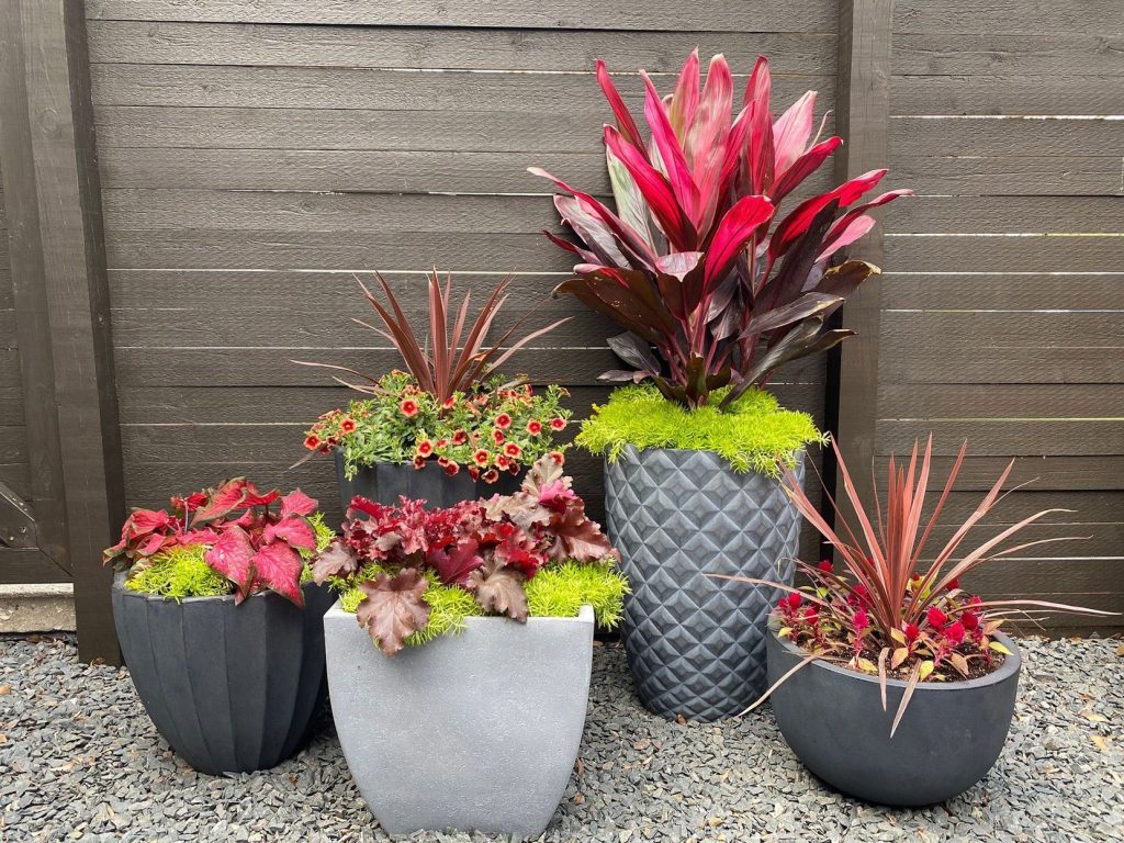Maximize Your Planting Potential: Best Deals on Wholesale Nursery Pots
